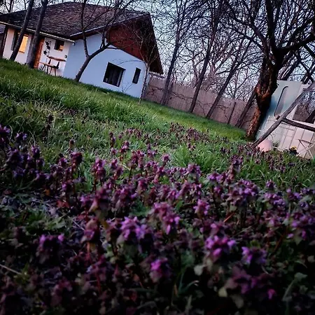 Elrejtek Casa de Férias