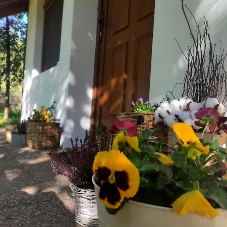 Casa de Férias Elrejtek